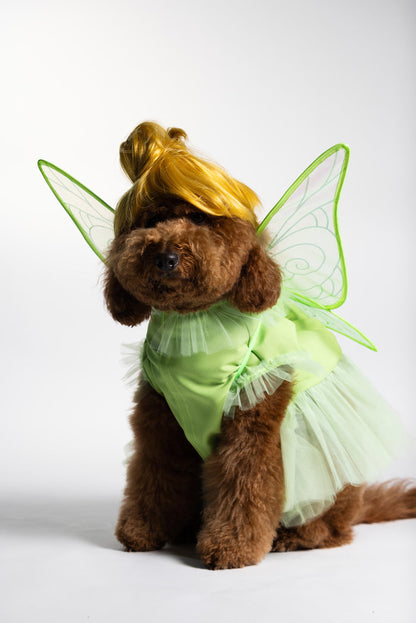 Fairy Pawtie Tale