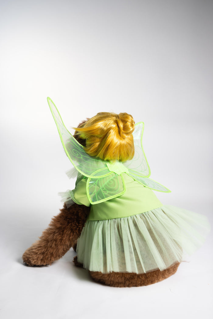 Fairy Pawtie Tale