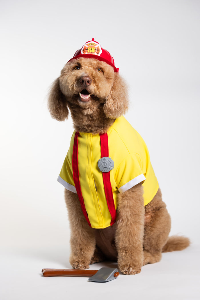 Firefighter