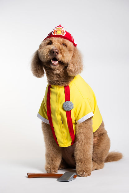 Firefighter