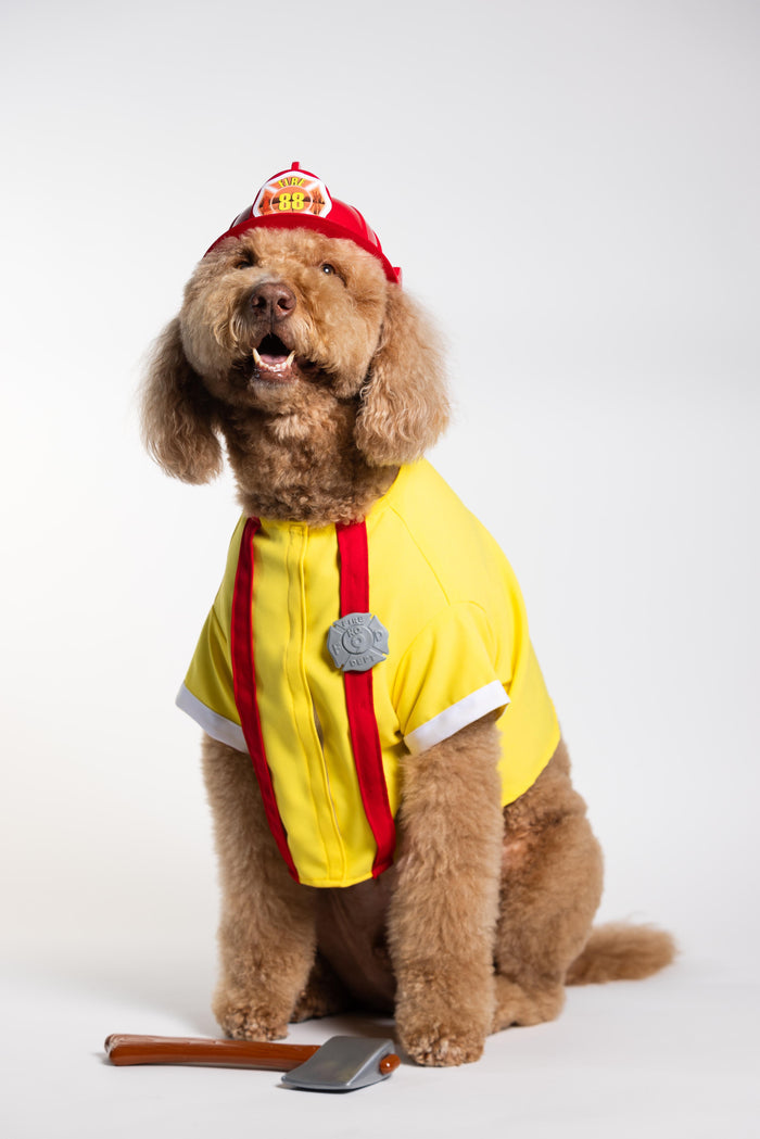 Firefighter