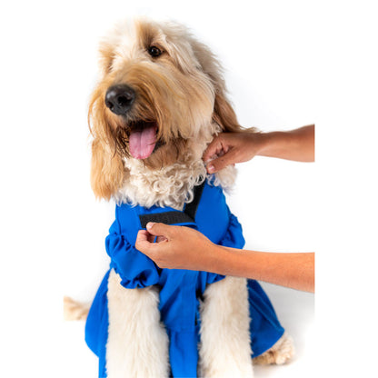 Follow the Yellow Brick Road Pet Costume