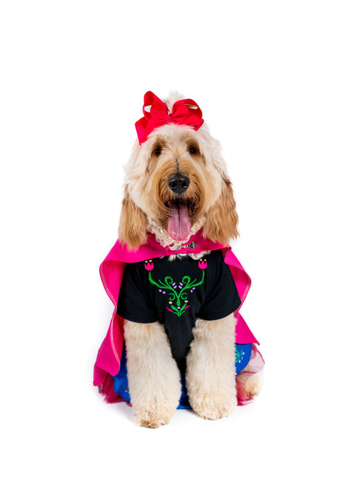 Frozen Friend Pet Costume