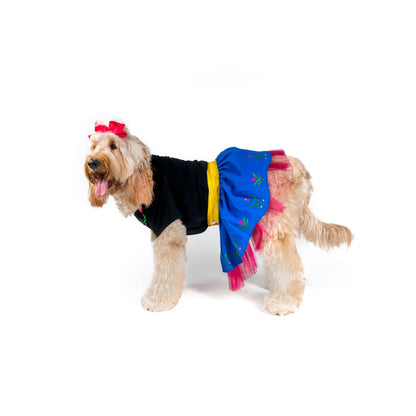 Frozen Friend Pet Costume