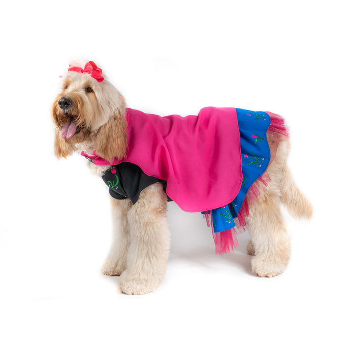 Frozen Friend Pet Costume