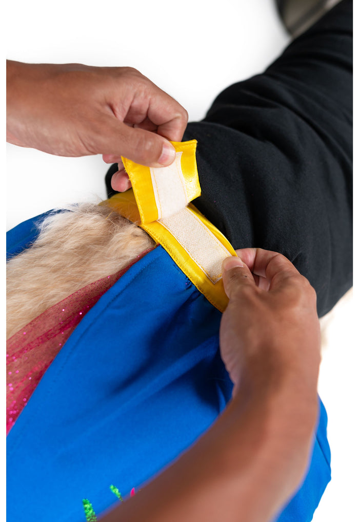 Frozen Friend Pet Costume