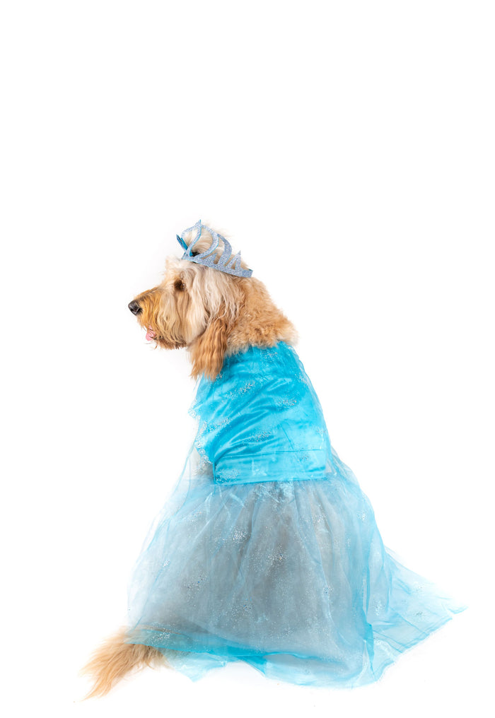 Frozen Queen Pet Costume