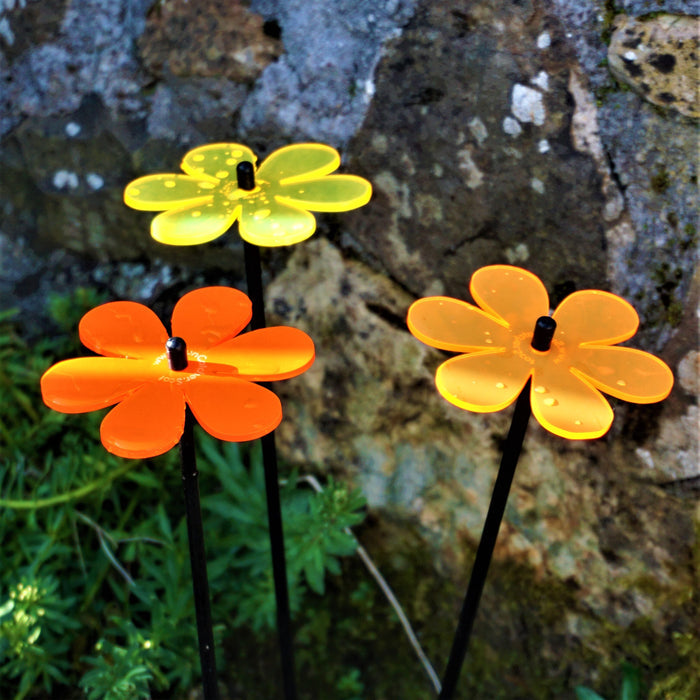 red / yellow / orange (3) RO