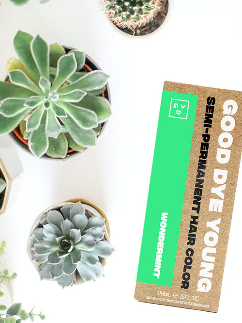 Good Dye Young Semi Permanent Hair Dye | Wondermint-Image 1