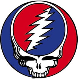 Grateful Dead Steal Your Face Magnet