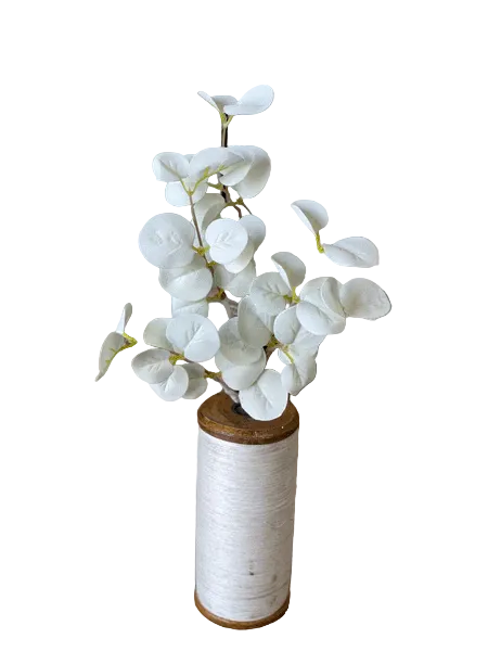 Halo Gleam Eucalyptus Pick | 14″