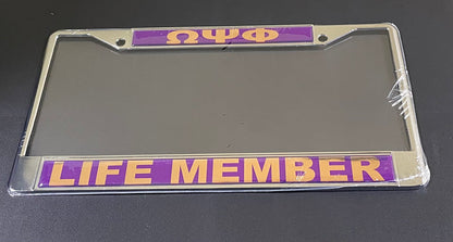 Life Member