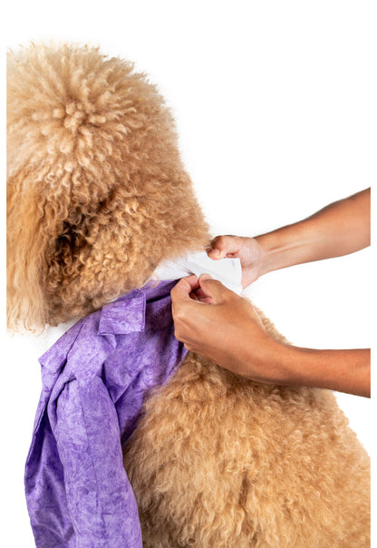 Joker HAHA Pet Costume