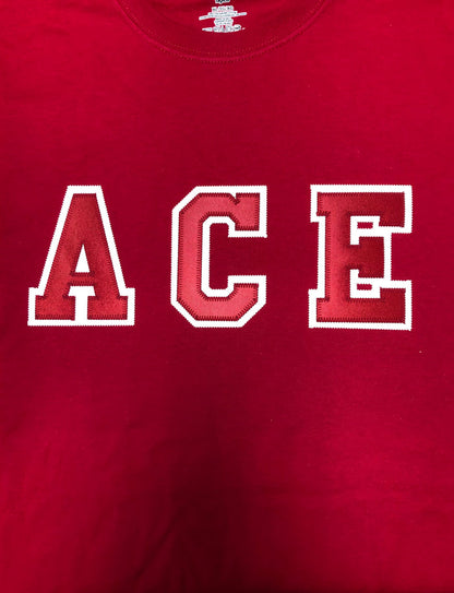 ACEshirt.jpg