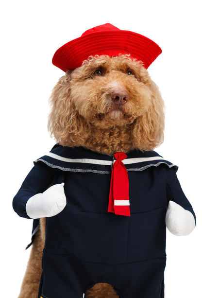 Kiko Pet Costume