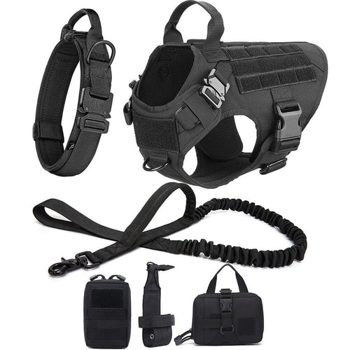 Large Dog Harness Set