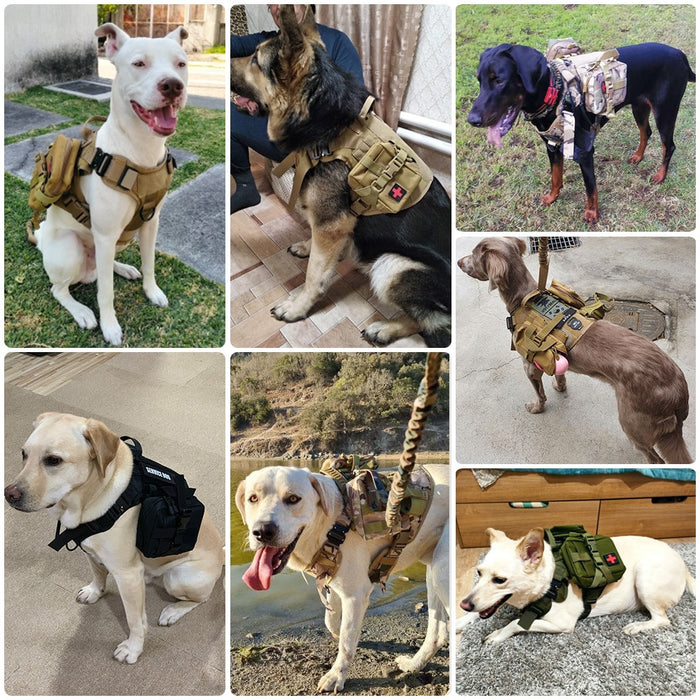 Large Dog Harness Set