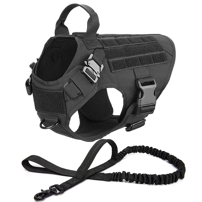 Large Dog Harness Set