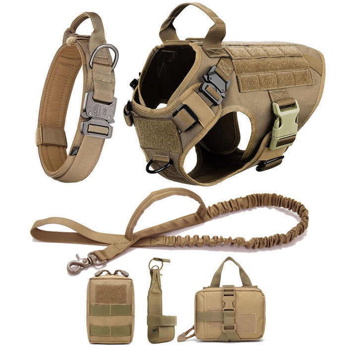 Large Dog Harness Set