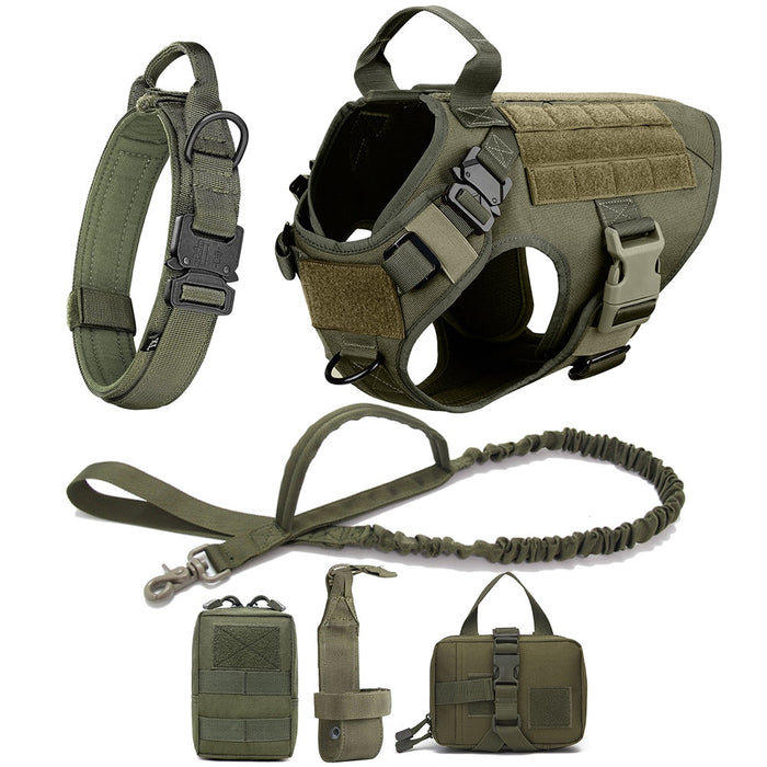 Large Dog Harness Set