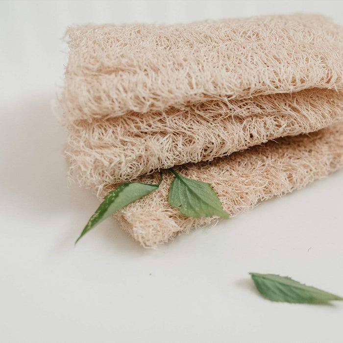 Loofah Sponge Pack