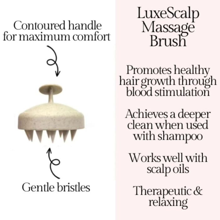 Scalp Massage Brush