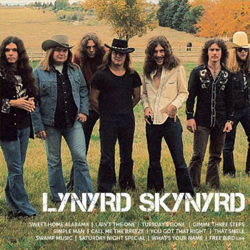 lynyrd-skynyrd-icon