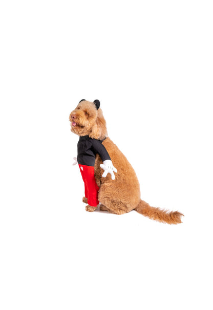 M. Mouse Pet Costume