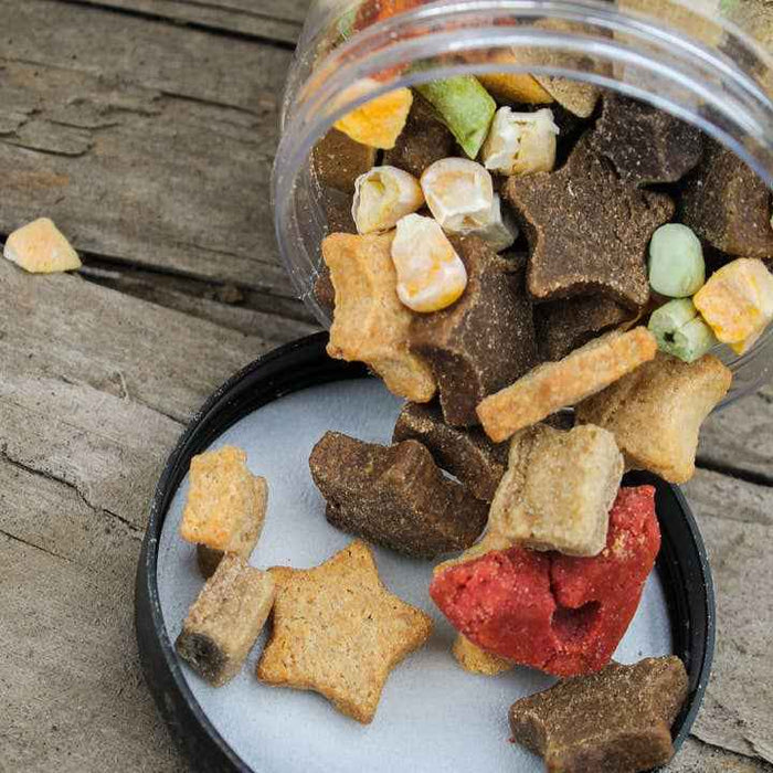 Mixed Flavor Dog Treats for Training – Pup Mix Snack Blend