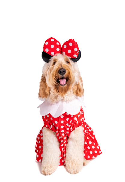 Mn. Mouse Costume