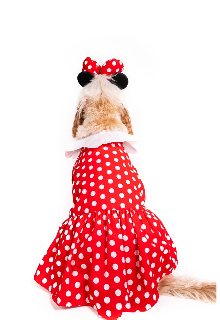 Mn. Mouse Costume