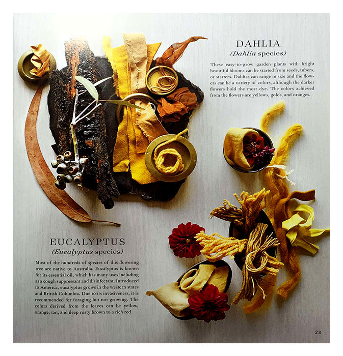 Modern Natural Dye