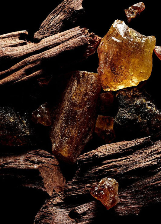 Morning Wood Foaming Body Scrub