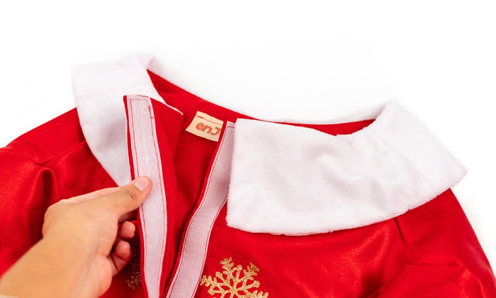 MS Claus Xmas Pet Costume