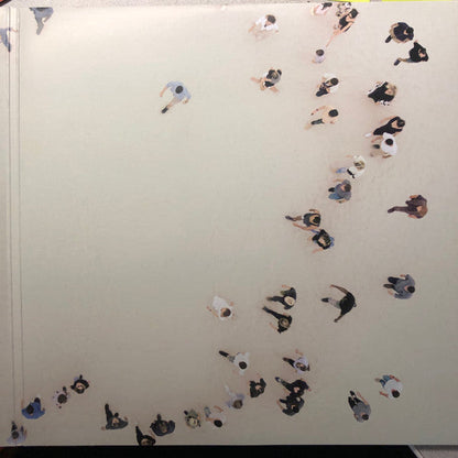 Mumford And Sons Delta vinyl record