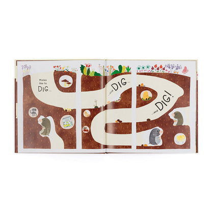 Muswell Mole And The Buried Treasure Book