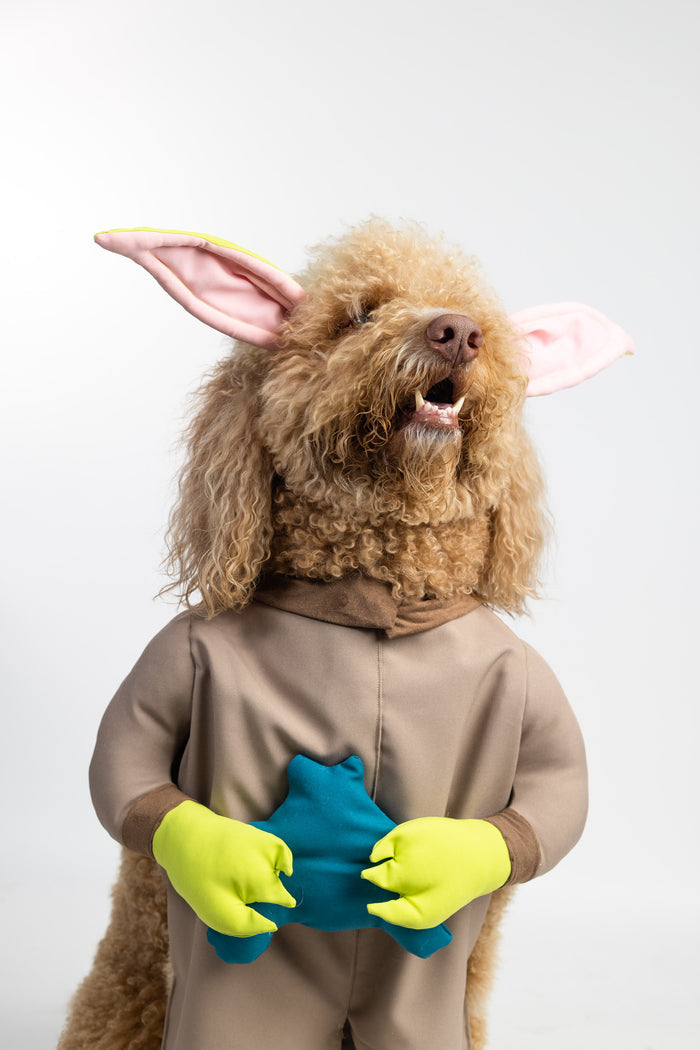 Paw The Child Pet Costume