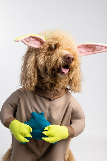 Paw The Child Pet Costume