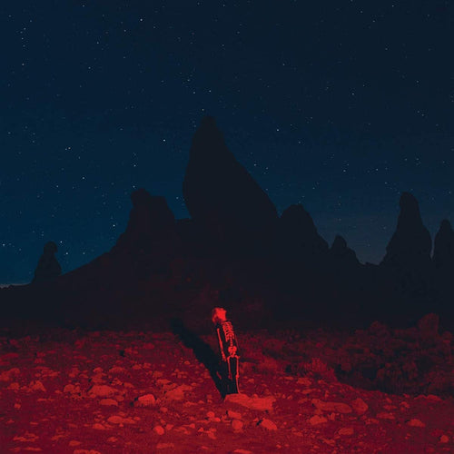 Phoebe-Bridgers-Punisher-vinyl-record-album1
