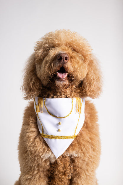 Prince Joy Charming