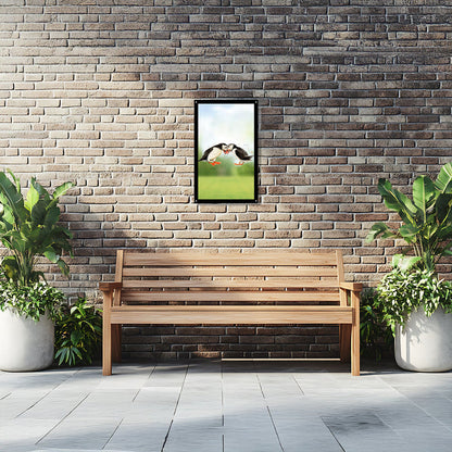 Puffin Couple Garden Mirror