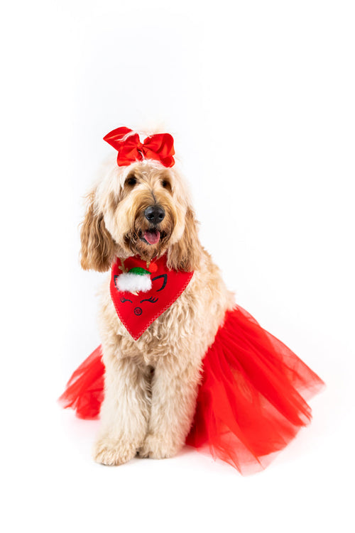 Reindeer Red Xmas Pet Bandana with Tutu