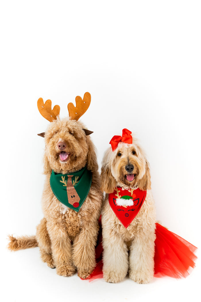 Reindeer Red Xmas Pet Bandana with Tutu