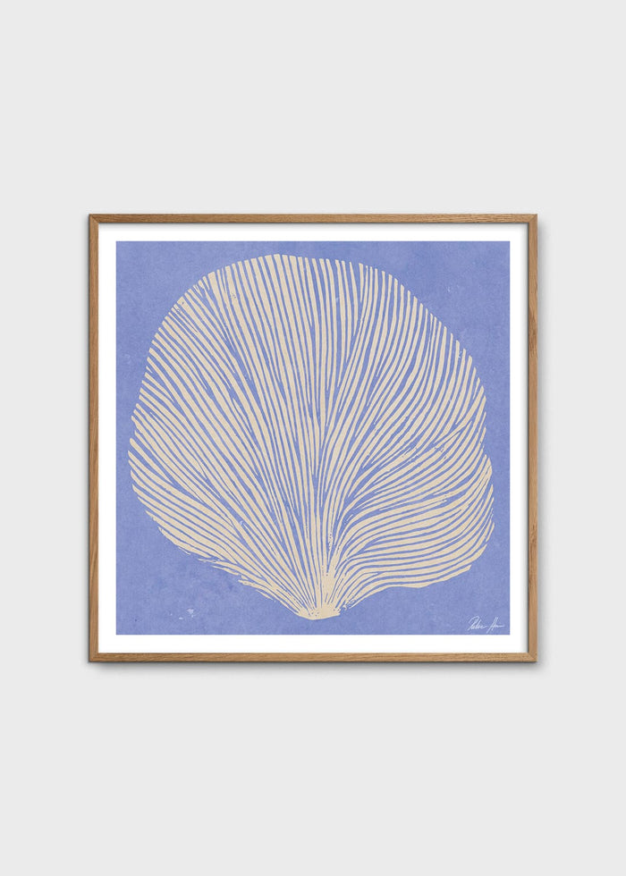 Sea Lavender by Rebecca Hein
