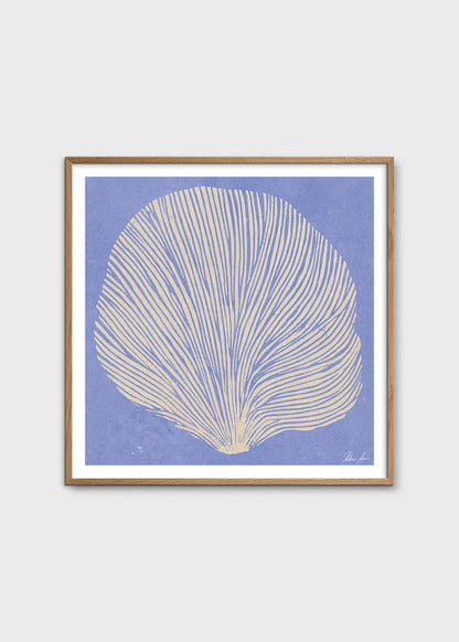 Sea Lavender by Rebecca Hein