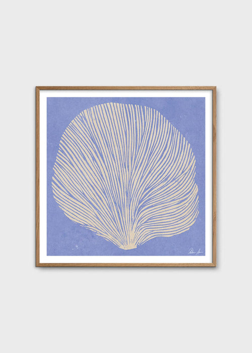 Sea Lavender by Rebecca Hein