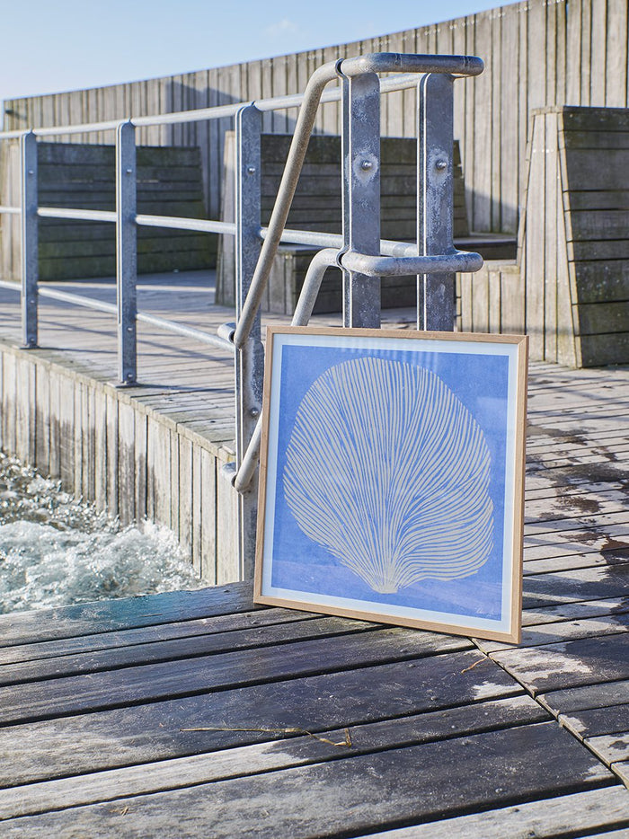 Sea Lavender by Rebecca Hein