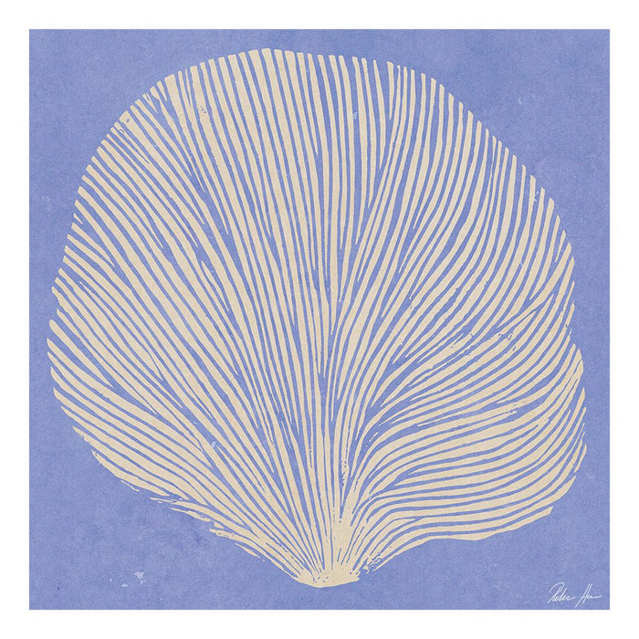 Sea Lavender by Rebecca Hein