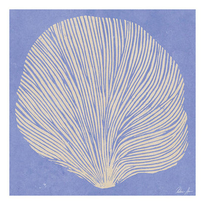 Sea Lavender by Rebecca Hein