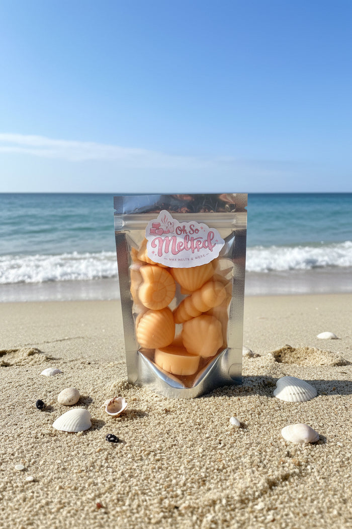 Seashell Wax Melts